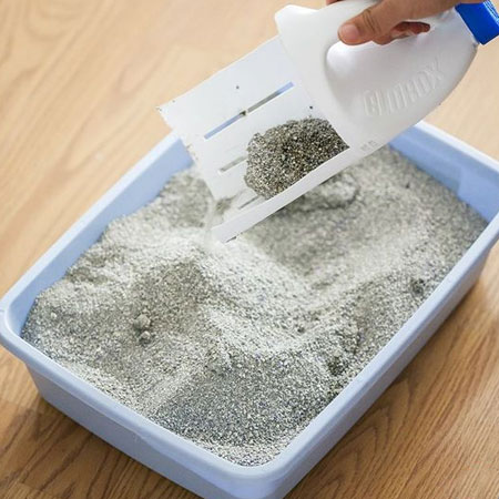 make a scoop using recycled plastic bottles