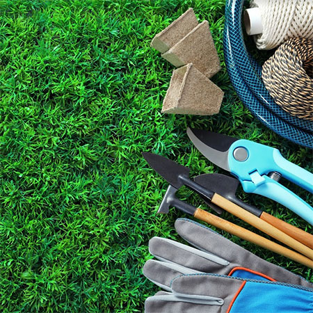 15 Essential Tools You Should Have In Your Shed