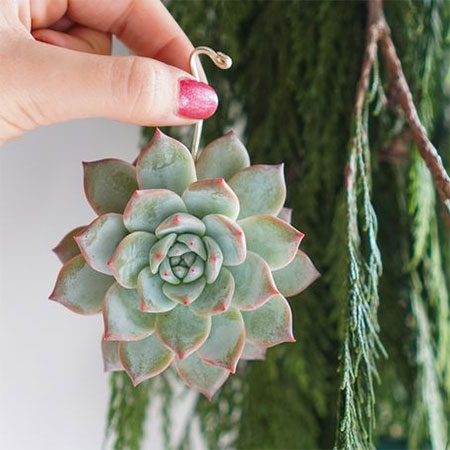 succulent ornaments for christmas tree