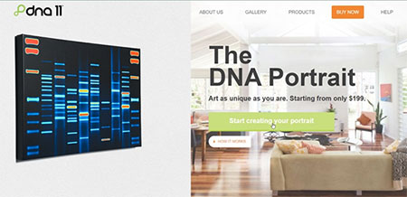 dna portrait by dna11