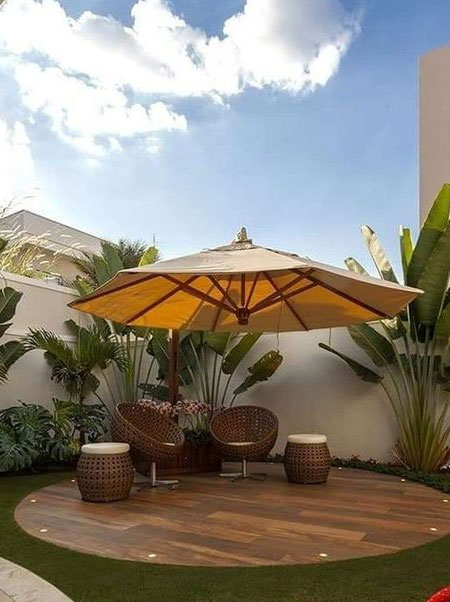 best plants for low maintenance garden