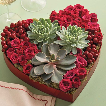 box of assorted succulents