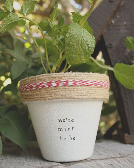 potted herb gifts