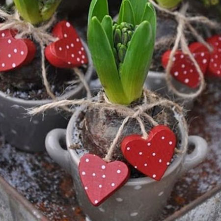 plant ideas for valentines day