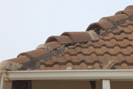 Roof Renovation: Everything You Should Know