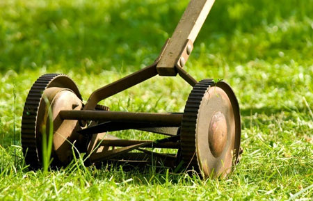 Why Push Mowers are Better for your Lawn