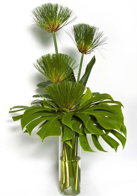 foliage for flower arrangements
