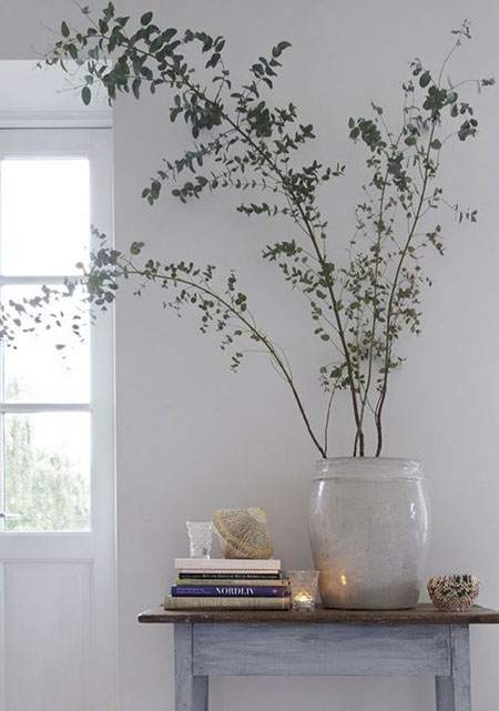 branches for floral arrangement