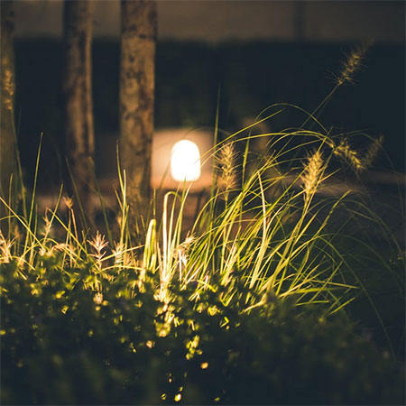 Trend: Upgrade Your Garden With Energy-Efficient Lighting