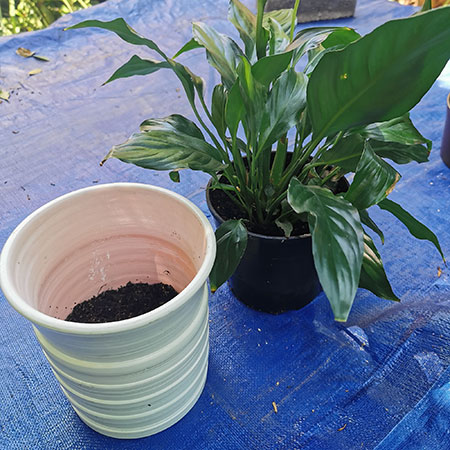 How to Turn any Vase into a Decorative Planter