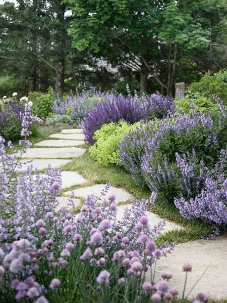 Design a Therapeutic Garden