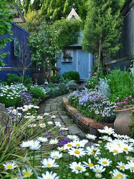 Choose the Perfect Plants