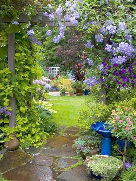 Include Medicinal Plants and Herbs
