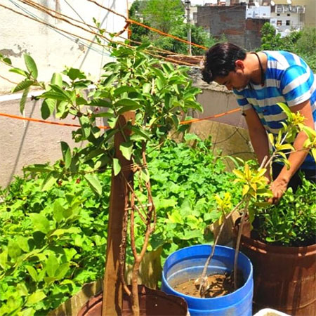 Growing Your Own Produce To Save Money