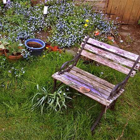 Simple Landscaping Ideas for an Attractive and Functional Backyard