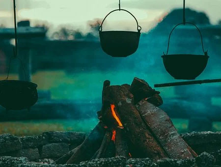 Cooking with Wood: What You Need to Know