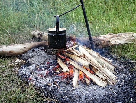 Cooking with Wood: What You Need to Know