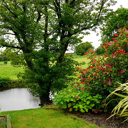 What you need to know when Hiring A Landscaper