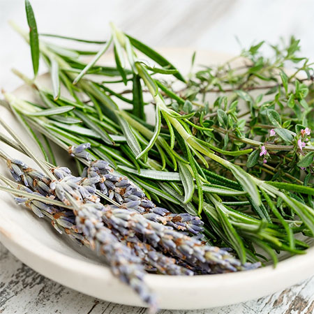 cooking with lavender