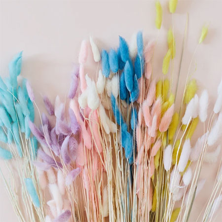 how to make colourful dried flowers