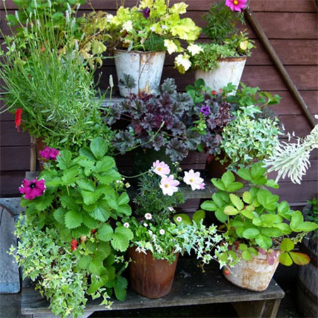 8 Backyard Trends To Get You Ready For Summer