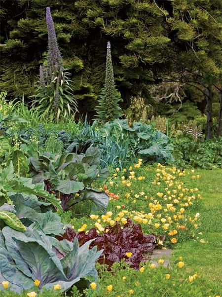 mixing vegetables and flowering plants in beds