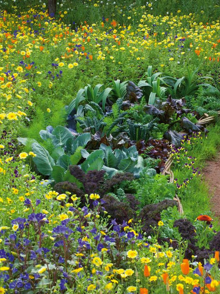 mix vegetables and flowers in garden beds