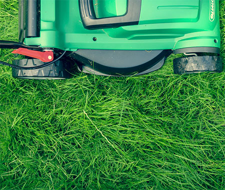 Lawn Care Tools Every Homeowner Should Own