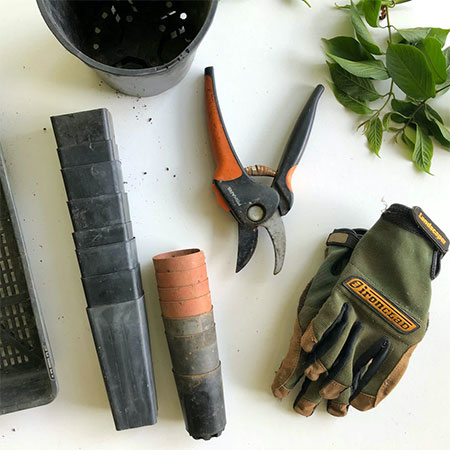 Lawn Care Tools Every Homeowner Should Own