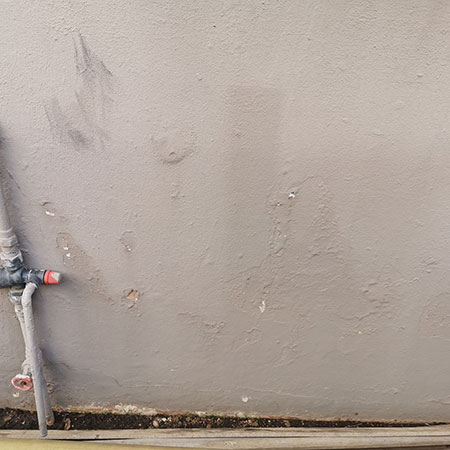 dealing with damp on exterior walls