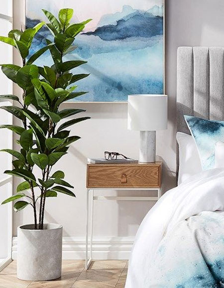 add potted plants to living spaces