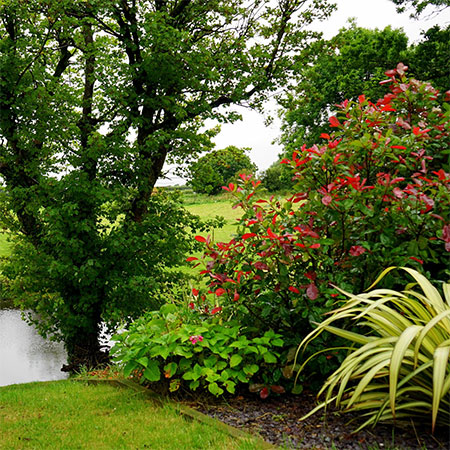 Top Definitive Guide for A Successful Home Garden Revealed!