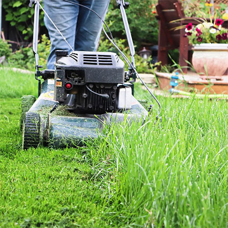 5 Ways To Maintain The Look Of Your Backyard