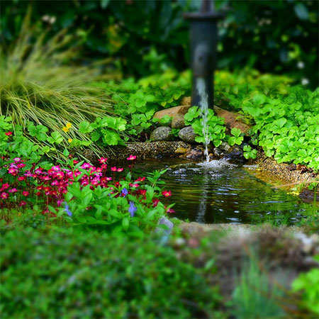 Best Pond Liner Guide