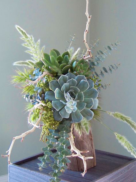 use succulents for floral arrangements