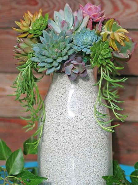 how to make floral arrangement with succulents