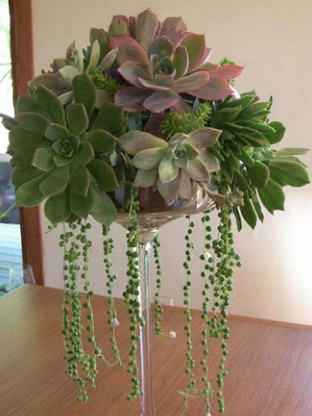 succulent flower arrangements