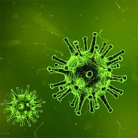 Reliable Medical Websites to Check Out