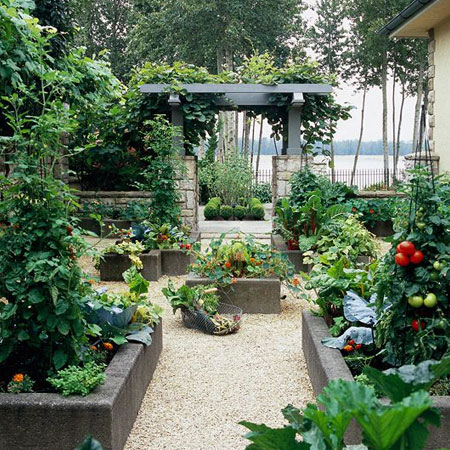 make raised vegetable beds