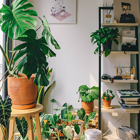 Clever Ways To Store Your Valuables