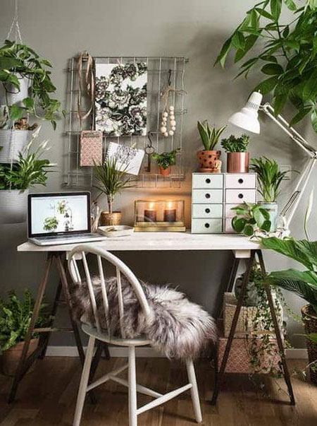 plants for home office