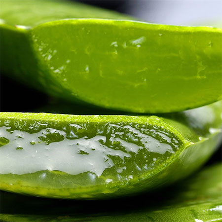 10 Amazing Aloe Vera Benefits