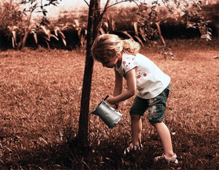 The Best Ways to Plant Trees and Preserve the Environment