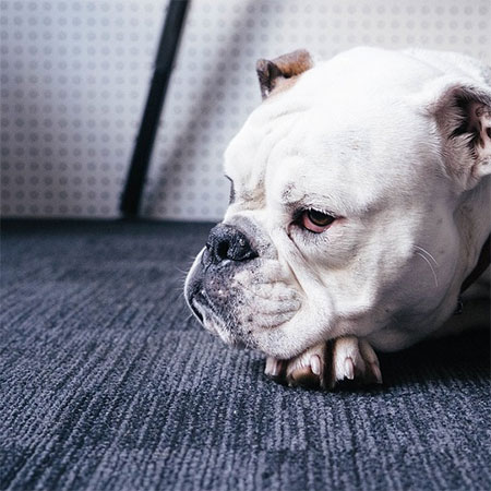 Install Slip-Resistant Flooring