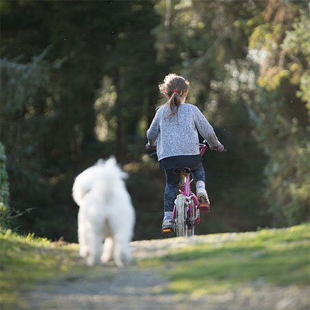 give pets plenty of exercise