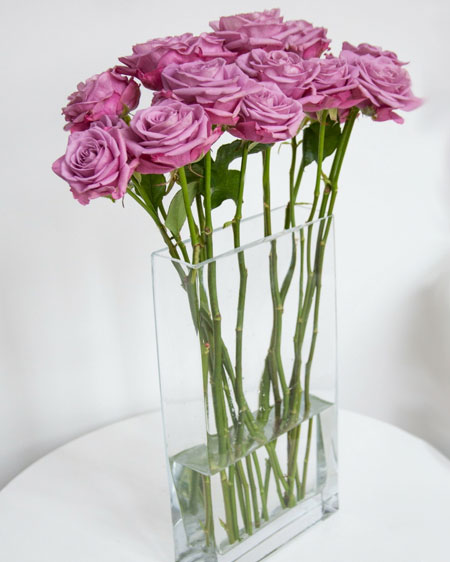 Rectangular or Square Shape vases