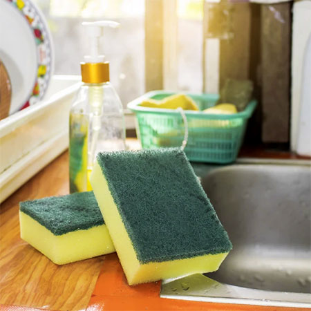 A Kitchen Sponge is Full Of Bacteria