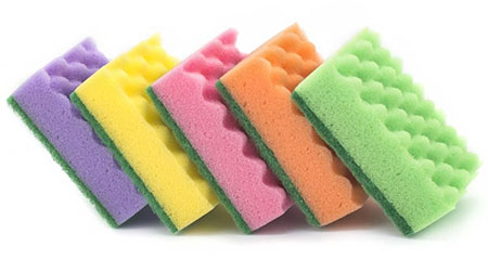 kitchen sponges are full of germs