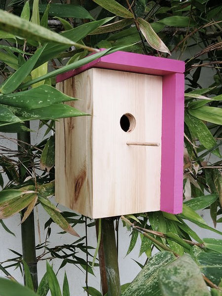 Make  Birdhouse or Letter Box