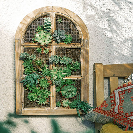 A DIY Window Frame Garden Feature